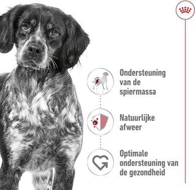 Image du produit Royal Canin Medium Adult - 4 Kg (Adulte, 4050 g)