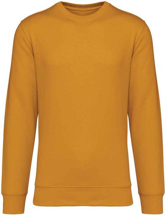 Native Spirit Sweatshirt Rundhalsausschnitt