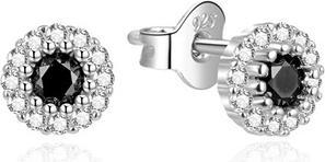 Agato Sparkling silver earrings with zircons AGT-E002PBK