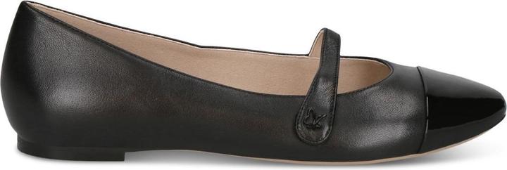 Pettine nero