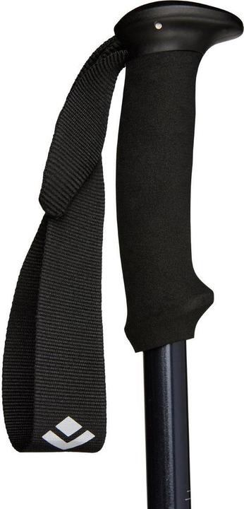 Actual product image Black Diamond Explorer 2 Trekking Poles (100 - 140 cm)