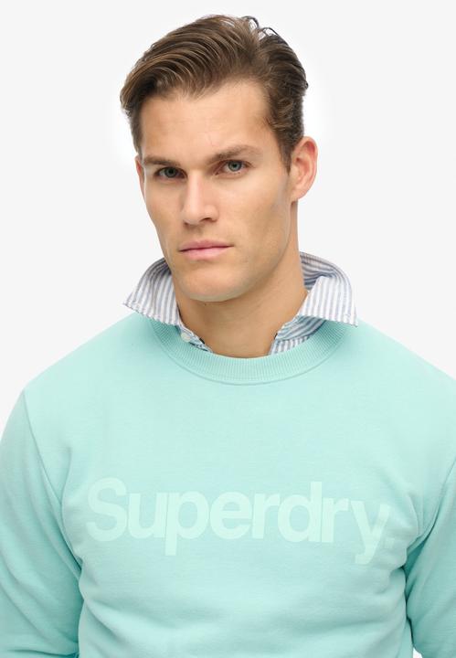 Actual product image Superdry Core Logo City Crew (S)