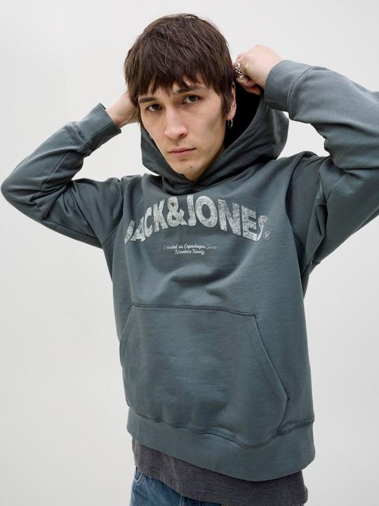 Image du produit Jack & Jones Logo Kapuzenpullover Kapuzenpullover (M)