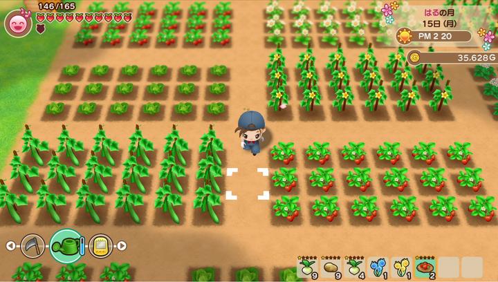 Produktbild Marvelous Story of Seasons : Friends of Mineral Town (Switch, FR)