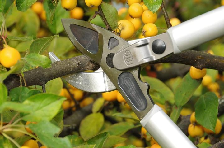 Produktbild Felco Zweihandscheren