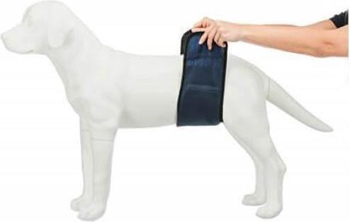 Image du produit Trixie Bandeau pour mâle S-M 37-45cm (S, M, Peignoir pour chien)