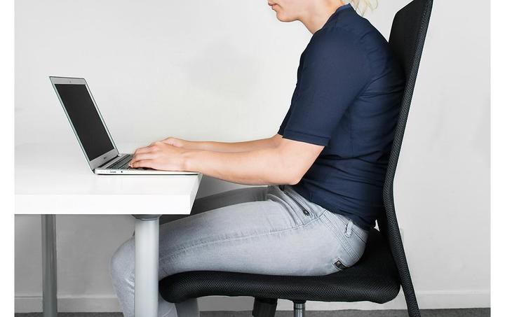 Actual product image Swedish Posture Posture Balance Core