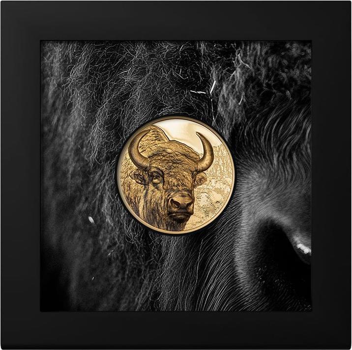 Immagine prodotto CIT Coin Invest Gold Bison 1 oz PP - High Relief 2025 (999.90, 2025)