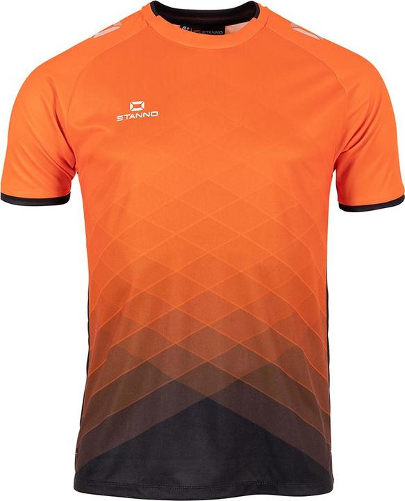 Stanno Altius Trikot (176)