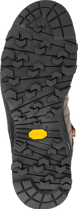 Produktbild Salewa Alp Trainer 2 Mid GTX Schuhe (44)