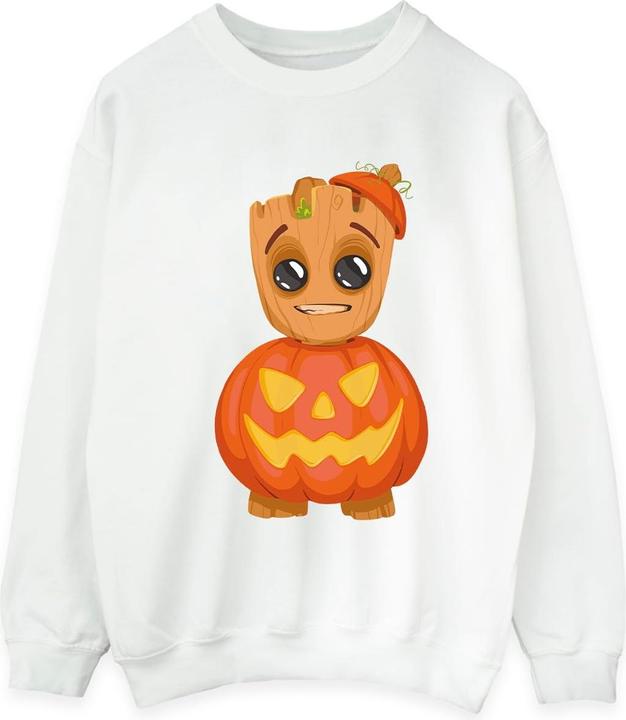 Sweatshirt (S)