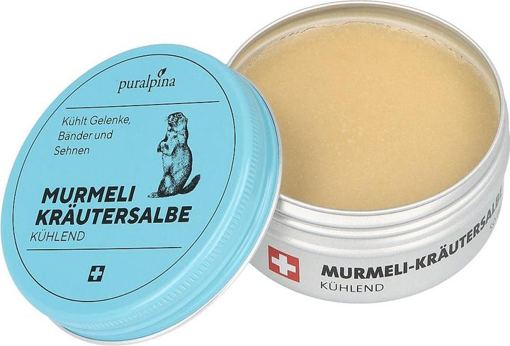 Produktbild Puralpina Murmeli-Kräutersalbe kühlend (1 x, 50 ml, 70 g)