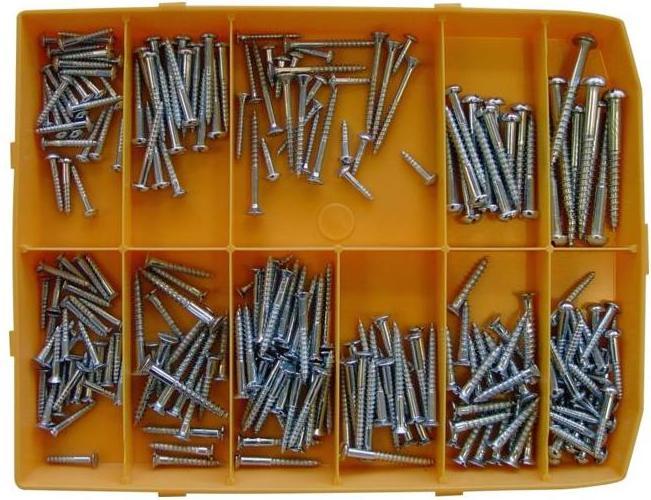 Actual product image BestaPac Wood screws (140 Screws per piece)