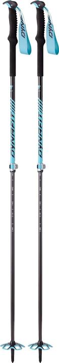 Dynafit Free Vario Pole (105 - 145 cm)