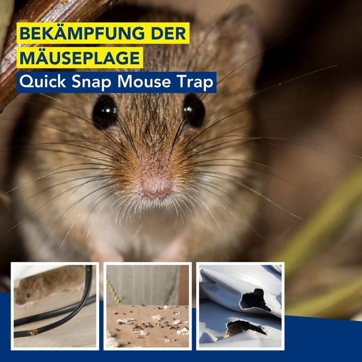 Productafbeelding Edialux Quicksnap muizenval, promoverpakking 4+2 stuks