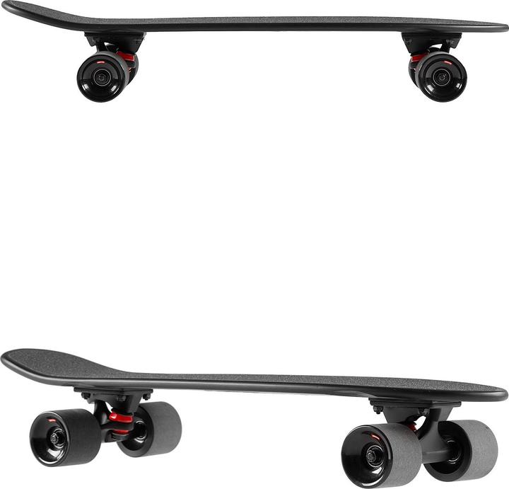 Actual product image Globe Blazer Black the F out (26")