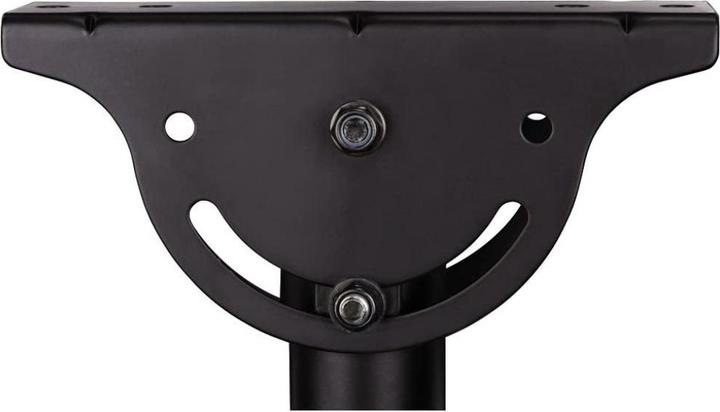 Actual product image Techly Mounting kit (ceiling mount, mounting bracket, telescopic rod) - for flat screens (Ceiling)