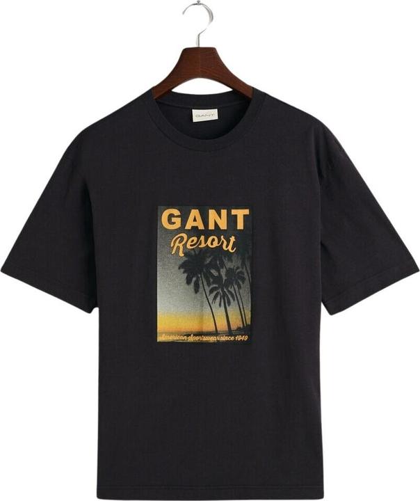 GANT t-hirt wahed graphic (S)