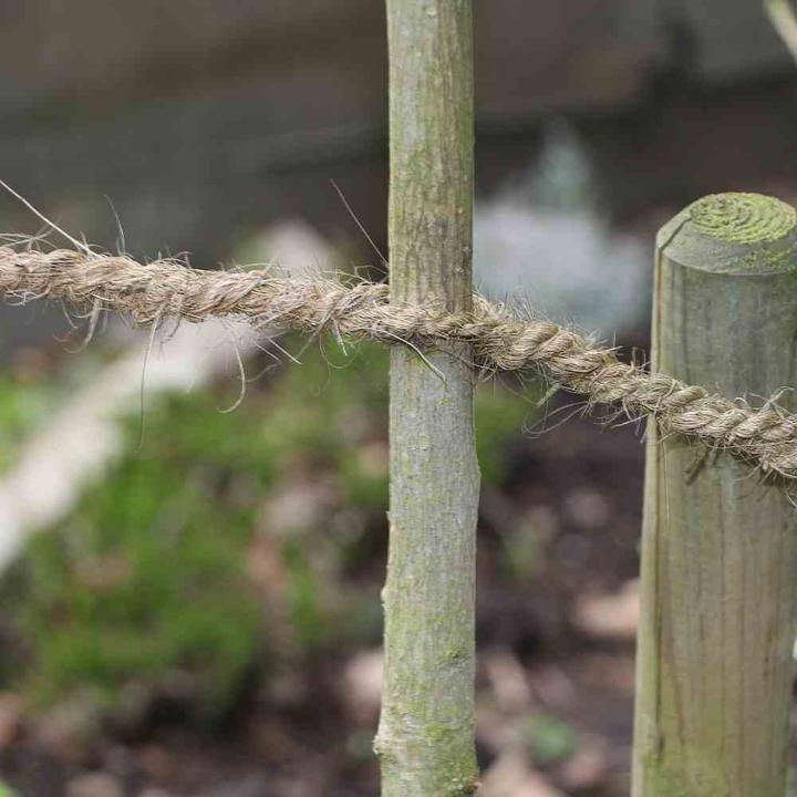 Actual product image Siena Garden Rope (10000 cm, 0.70 cm)