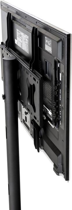 Immagine prodotto Swisshandel24 Porta TV (65", 40 kg)