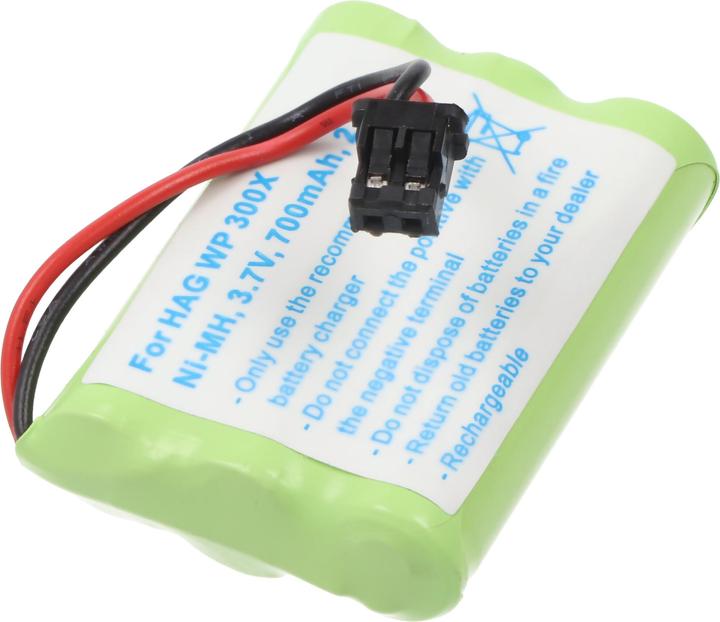 Actual product image hagenuk Akku WP 300X Akku BT-589