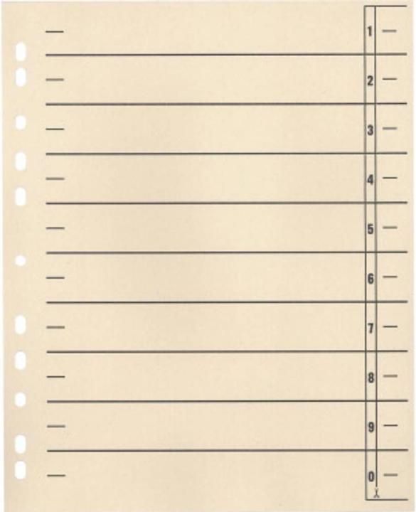 Actual product image Soennecken Dividers 24x30cm 190g 11 hole punched chamois 100pcs/pack.