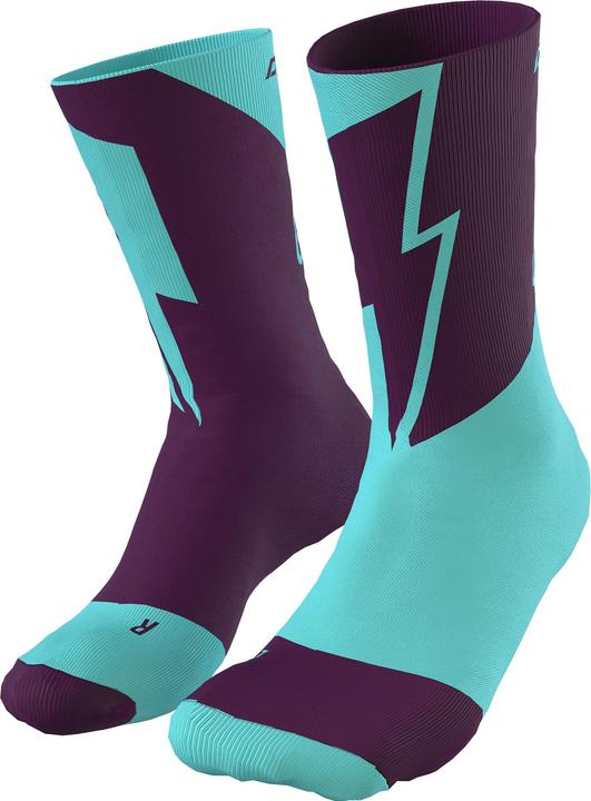 Actual product image Dynafit No Pain No Gain socks (35 - 38)