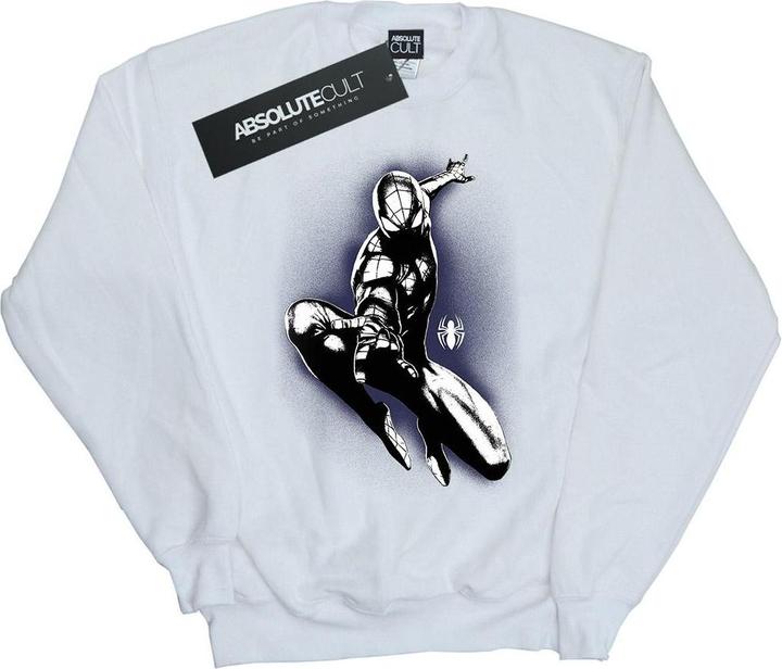 SpiderMan Jump Spray Sweatshirt Jungen (140, 146)