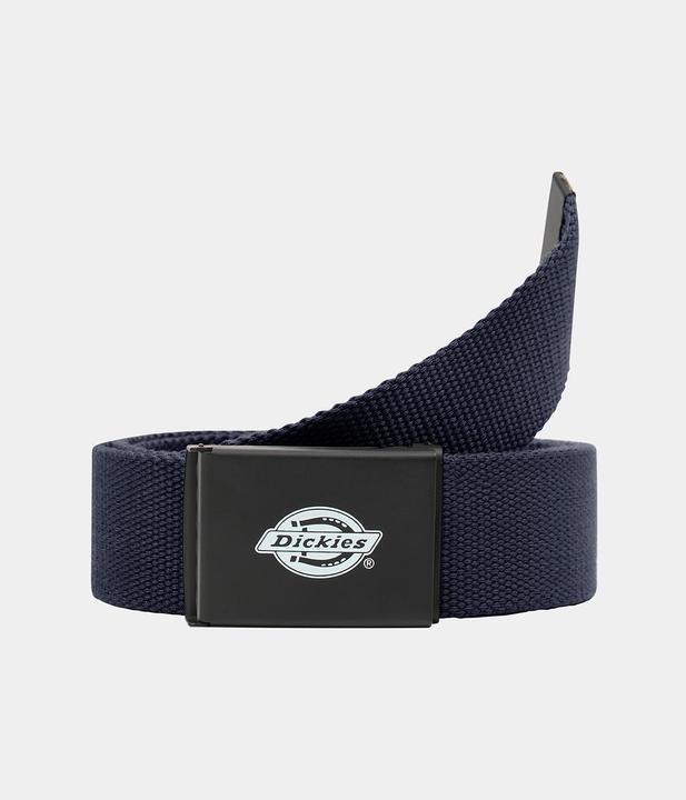 Actual product image Dickies Orcutt Web Belt (120)