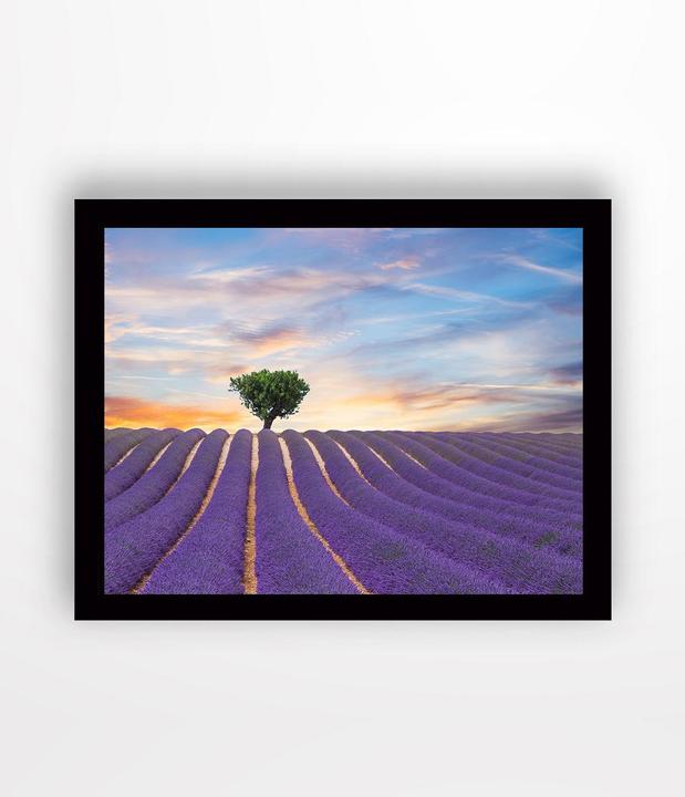 Produktbild Wallxpert August (41 x 56 cm)
