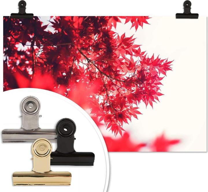 Image du produit Trenddeko Érable en automne (60 x 40 cm)