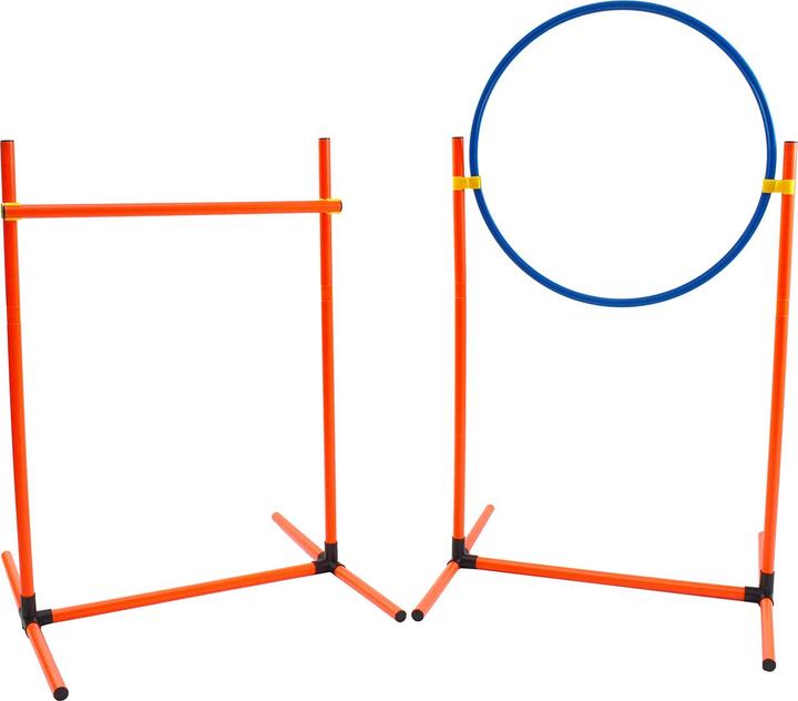 Actual product image Roony Agility training kit (Agility)