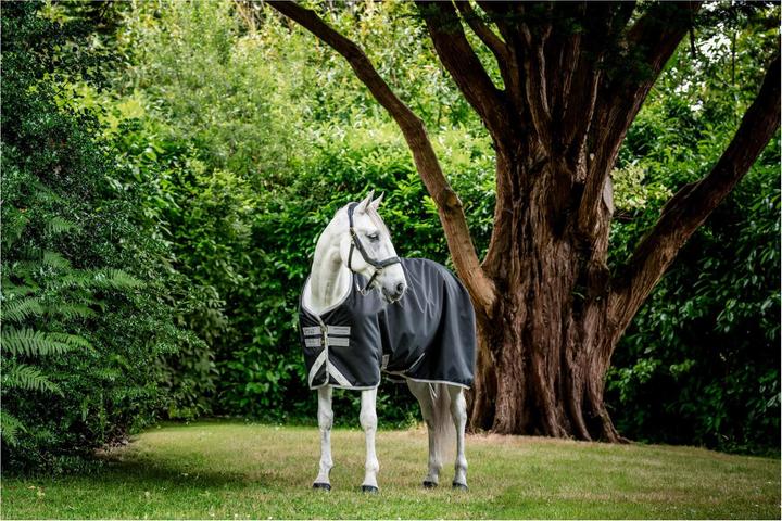 Produktbild Horseware Weidedecke Amigo Bravo 12 Orig 250g (155 cm)