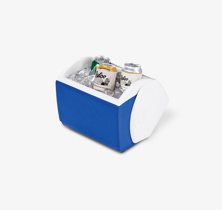 Image du produit Igloo petite boîte à glace pour moniteur (6 l)