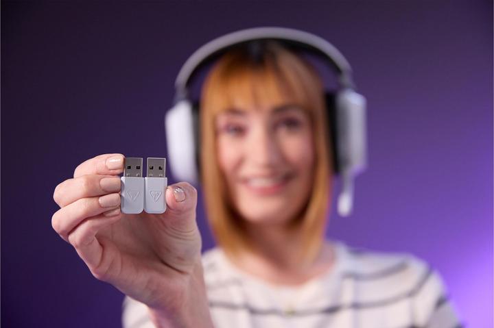 Actual product image Turtle Beach Stealth 700 Gen 3 (Wireless)