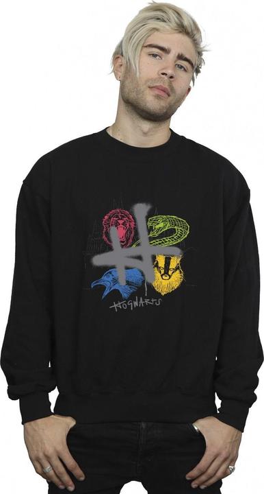 Produktbild Emblems H Spray Sweatshirt (4XL)
