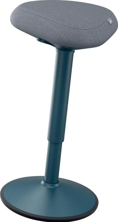Produktbild Leitz Ergo Active