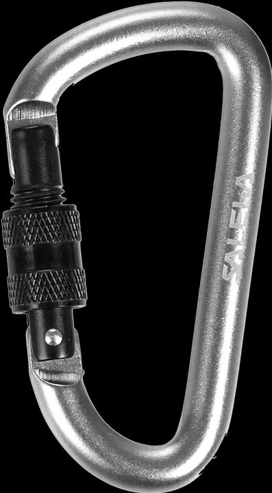 Produktbild Salewa DShape Carbiner With Screw