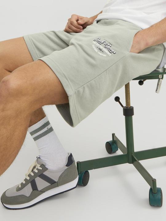 Actual product image Jack & Jones Shorts (M)