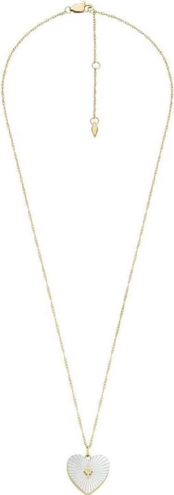 Produktbild Fossil Locket Collection (Stainless Steel, 40 - 46 cm)