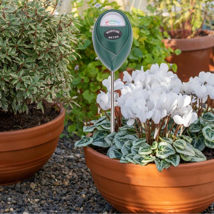 Actual product image Casativo Moisture meter