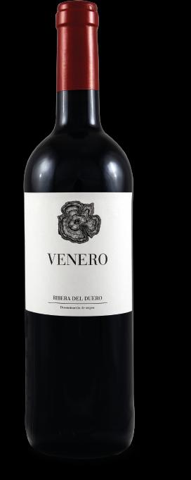 Produktbild Encina Venero DO (6 x 75 cl, 2013)