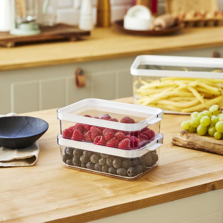 Actual product image Rotho Cauma fridge organiser
