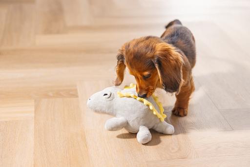 Immagine prodotto Beeztees Cucciolo di dinosauro Vince Dog Toy (Cane di peluche)