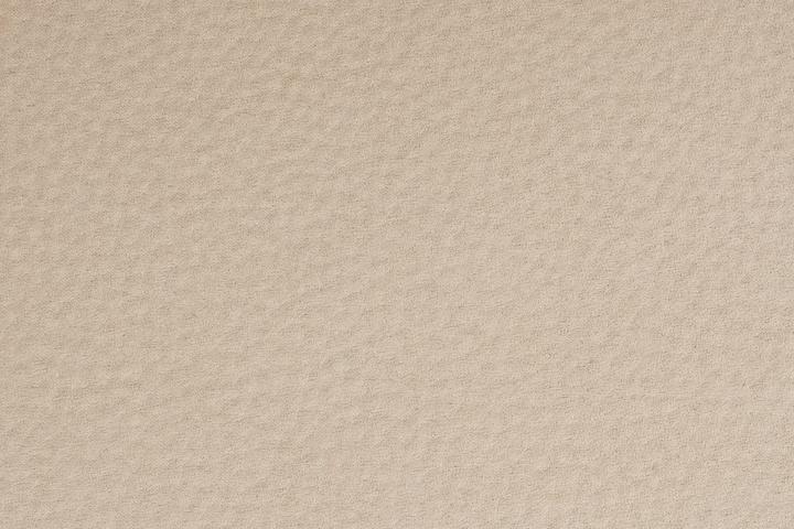 Actual product image Zuiver Lounge Chair Friuli