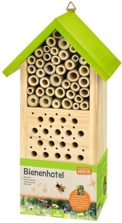 Expeditie Natuur (Bijen)