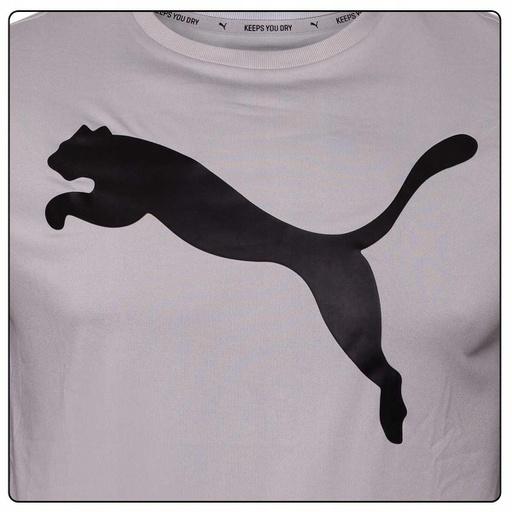 Actual product image Puma Active Big Logo Tee Grey Violet 586724 09 XL (XL)