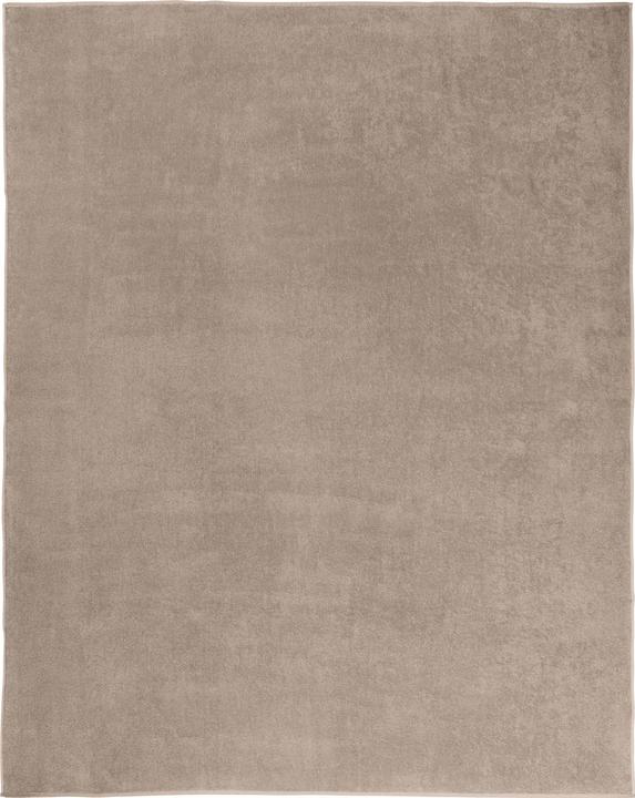 Actual product image Erwin Müller Terry blanket (150x200 cm)