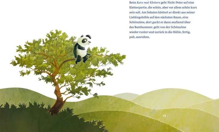 Produktbild Panda-Pand (Deutsch, Günther Jakobs, Sasa Stanisic, 2021)