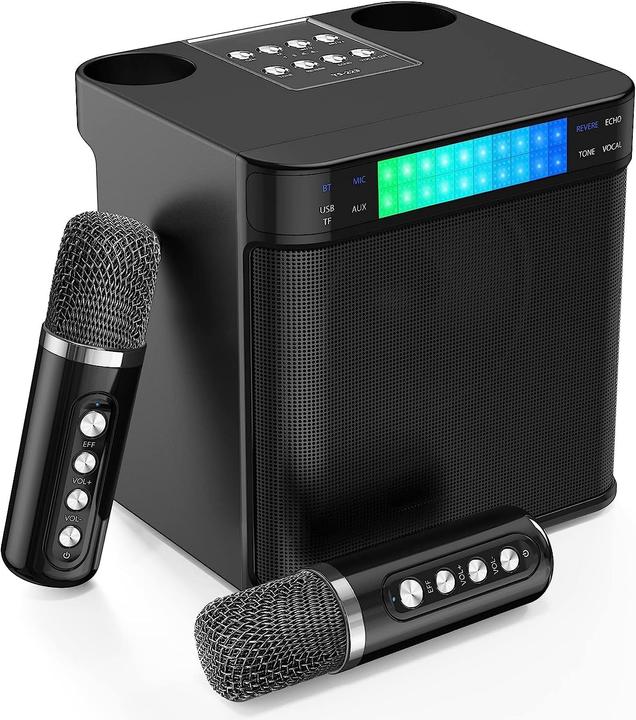 Actual product image Easjoy Karaoke system